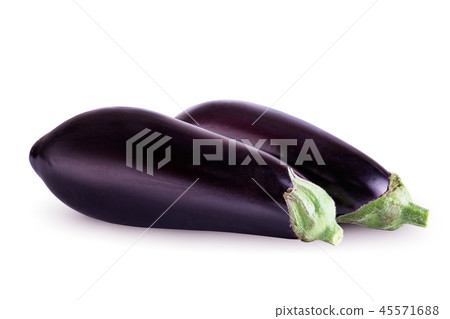 eggplant on white background eggplant on white background 45571688