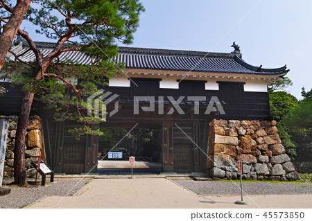 [高知縣/日本100城堡]高知城堡 45573850