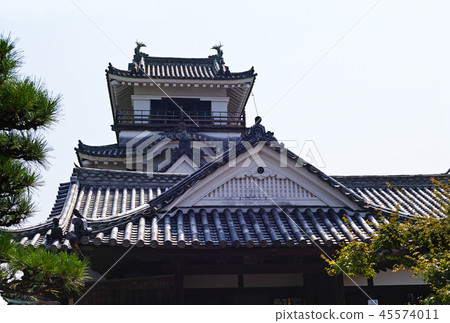 [Kochi Prefecture / Japan's 100 Great Castles] Kochi Castle Tenshukaku (white background) 45574011