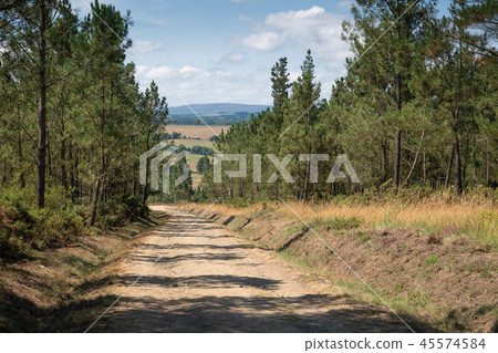 Camino de Santiago, Galicia, Spain 45574584