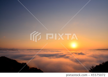 Mt. Mt. 45575072