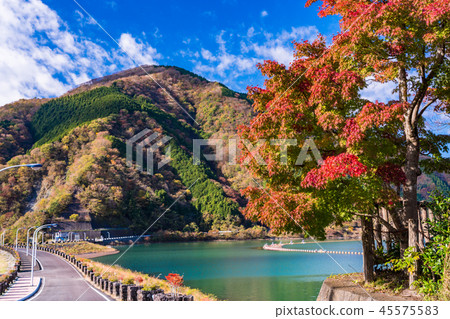 (Kanagawa Prefecture) Lake Tanzawa Miho dam lakeside (Kanagawa Prefecture) Lake Tanzawa Miho dam lakeside 45575583