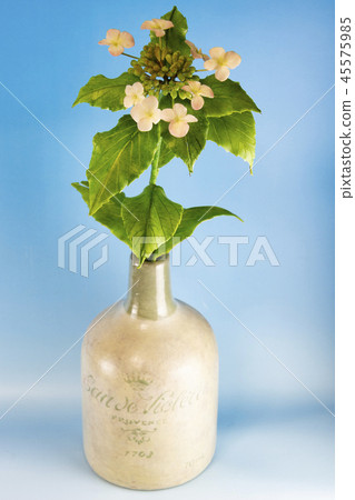 繡球花 花藝術 由樹脂黏土製成 照片素材 圖片 圖庫