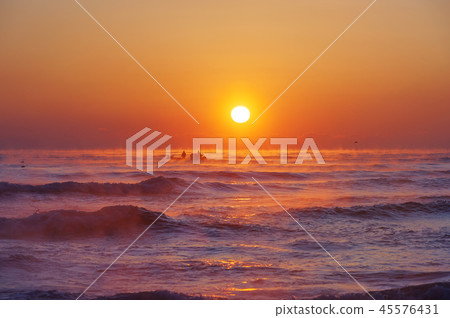 蔚山、江江港、明善島 蔚山、江江港、明善島 45576431