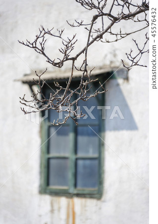 仁川，韓國，唐人街 45576432