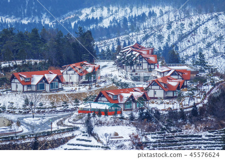 全羅南道，全羅南道，韓國，寶城，綠茶田 45576624