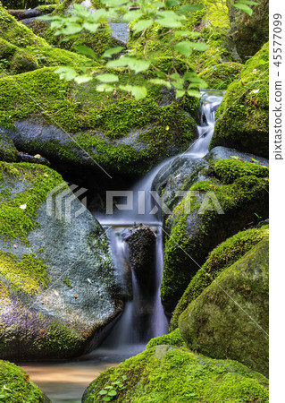 Gangwon-do, Korea, Taebaek, Sangdong, Moss Valley Gangwon-do, Korea, Taebaek, Sangdong, Moss Valley 45577099