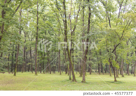 Gyeonggi-do, Korea, Suwon-si, Yungneung, Geonneung 45577377
