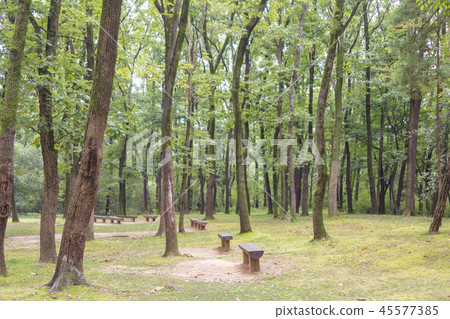 Gyeonggi-do, Korea, Suwon-si, Yungneung, Geonneung Gyeonggi-do, Korea, Suwon-si, Yungneung, Geonneung 45577385