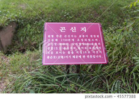 韓國京畿道、水原市、龍陵市 韓國京畿道、水原市、龍陵市 45577388