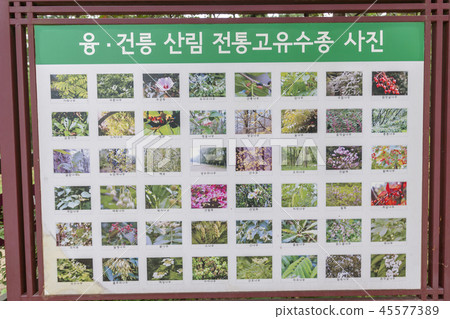 Gyeonggi-do, Korea, Suwon-si, Yungneung, Geonneung Gyeonggi-do, Korea, Suwon-si, Yungneung, Geonneung 45577389