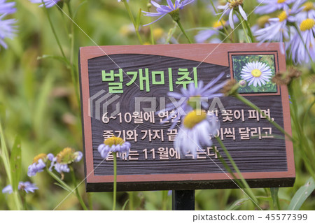 Gyeonggi-do, Korea, Suwon-si, Yungneung, Geonneung Gyeonggi-do, Korea, Suwon-si, Yungneung, Geonneung 45577399
