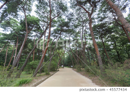 Gyeonggi-do, Korea, Suwon-si, Yungneung, Geonneung Gyeonggi-do, Korea, Suwon-si, Yungneung, Geonneung 45577434