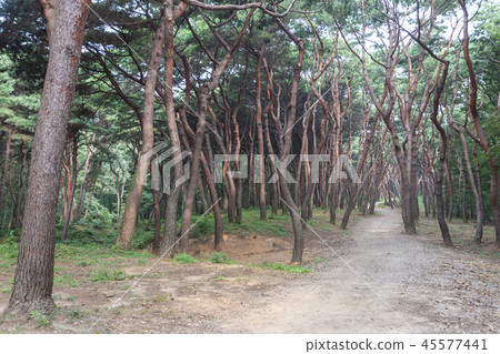 Gyeonggi-do, Korea, Suwon-si, Yungneung, Geonneung Gyeonggi-do, Korea, Suwon-si, Yungneung, Geonneung 45577441