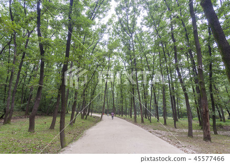 Gyeonggi-do, South Korea, Suwon, Gyeonggi-do, South Korea, Suwon, 45577466