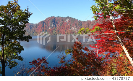 秋天的沼澤湖（福島縣，金山町） 45578727