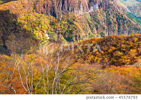 "Tochigi Prefecture" Taken from Akechidaira Ropeway, the autumn leaves of Akechidaira "Tochigi Prefecture" Taken from Akechidaira Ropeway, the autumn leaves of Akechidaira 45578793