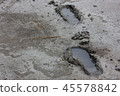 print of foot in wet cement and rain water 45578842