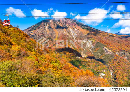 << Tochigi Prefecture >> autumn sunlight, colored leaves and Akechidaira ropeway << Tochigi Prefecture >> autumn sunlight, colored leaves and Akechidaira ropeway 45578894