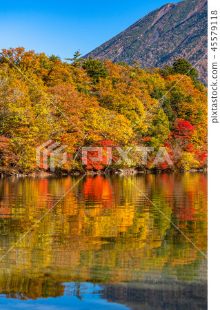 "Tochigi Prefecture" Autumn sunlight, autumn leaves of Mt. Mancho and Haccho dejima "From Lake Chuzenji" "Tochigi Prefecture" Autumn sunlight, autumn leaves of Mt. Mancho and Haccho dejima "From Lake Chuzenji" 45579118