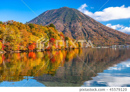 "Tochigi Prefecture" Autumn sunlight, autumn leaves of Mt. Mancho and Haccho dejima "From Lake Chuzenji" "Tochigi Prefecture" Autumn sunlight, autumn leaves of Mt. Mancho and Haccho dejima "From Lake Chuzenji" 45579120