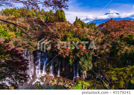 [Shizuoka Prefecture] Shiraitonotaki Mt. Fuji Autumn leaves 45579241