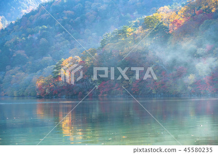 "Tochigi Prefecture" Chuzenji lake of autumn sunlight, colored leaves "Tochigi Prefecture" Chuzenji lake of autumn sunlight, colored leaves 45580235