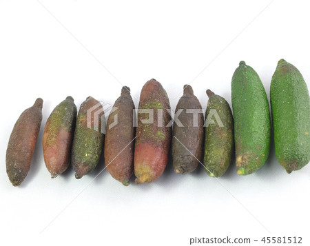 Finger lime green pink Finger lime green pink 45581512