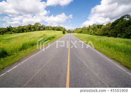 Highway road through green grass under blue sky. 45581908