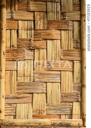 bamboo texture 45583919