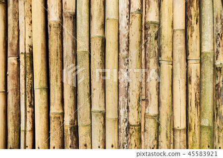 bamboo fence bamboo fence 45583921