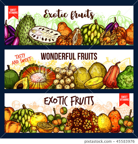Fruits from exotic countries, sketch vector 45583976