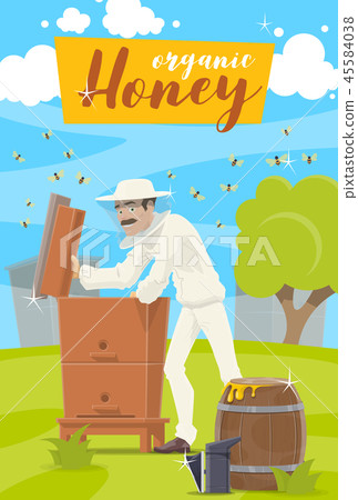 Honey farm. Beekeeper and hive at apiary 45584038