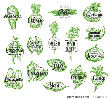 Exotic vegetable silhouettes with lettering Exotic vegetable silhouettes with lettering 45584093
