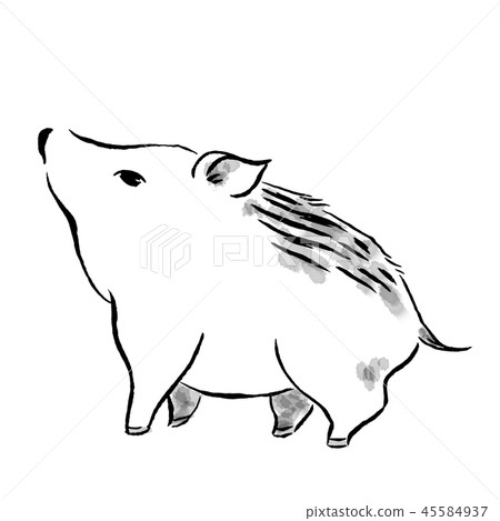 Wild boar ink painting style - Stock Illustration [45584937] - PIXTA