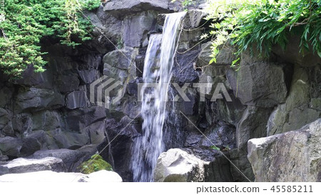 Popular Chinese Garden 45585211