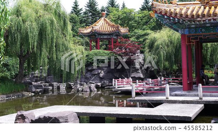 流行的中國花園 45585212