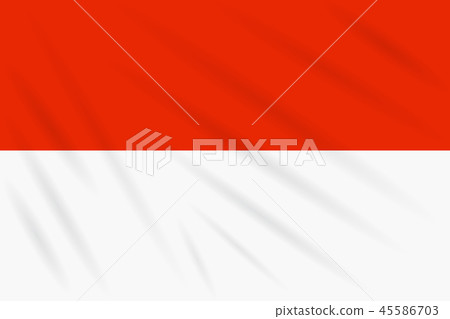 Flag Indonesia swaying in wind, realistic vector Flag Indonesia swaying in wind, realistic vector 45586703
