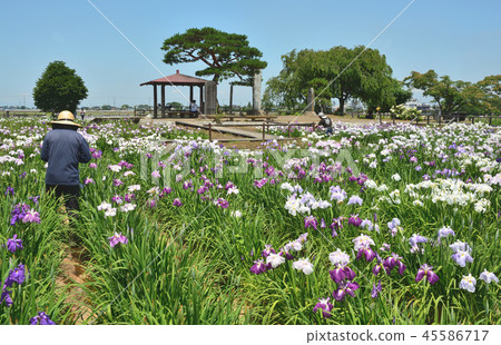 Kuki City Kojimachi Ibaraki廢墟 45586717