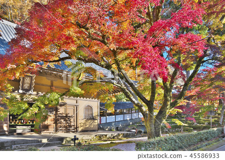 Eigenji Egen-ji Temple Eigenji Egen-ji Temple 45586933