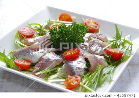 Carpaccio of salmon Blue carpaccio of blue fish 45587471