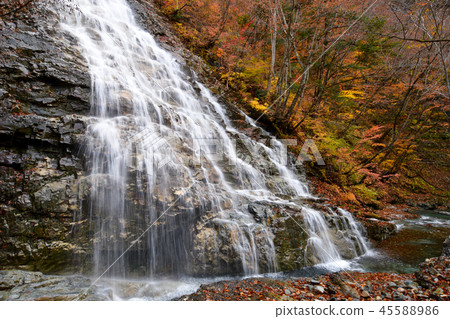 Rhododendron waterfall Rhododendron waterfall 45588986