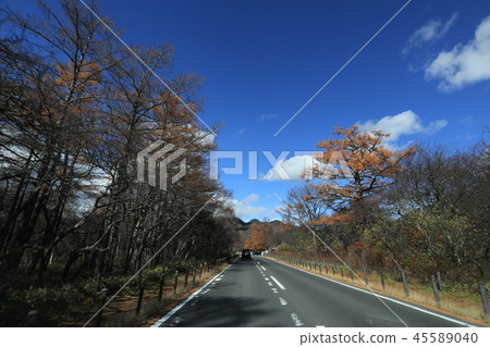 Nikko Oku Nikko景觀 Nikko Oku Nikko景觀 45589040