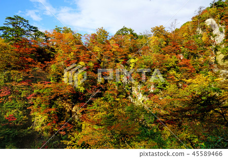 Naruko Gorge Autumn leaves Miyagi Prefecture 45589466