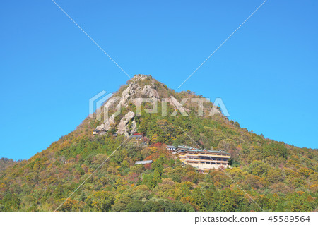 Fall-colored Tarobogu 45589564