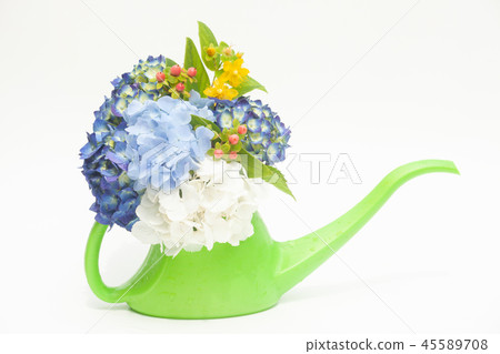Hydrangea arrangement on white background 45589708