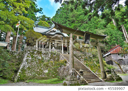 [Tamaoki Shrine] Tamaki River, Totsugawa Village, Yoshino District, Nara Prefecture 45589907