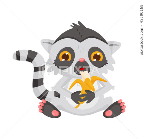 Cute lemur eating banana. Adorable exotic animal with long striped tail and big shiny eyes.Flat 45590169