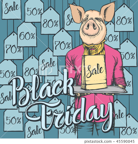 vector illustration of pig on black friday-圖庫插圖 [45590845] -