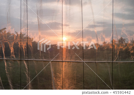 Sunset shining on fabric of greenhouse Sunset shining on fabric of greenhouse 45591442